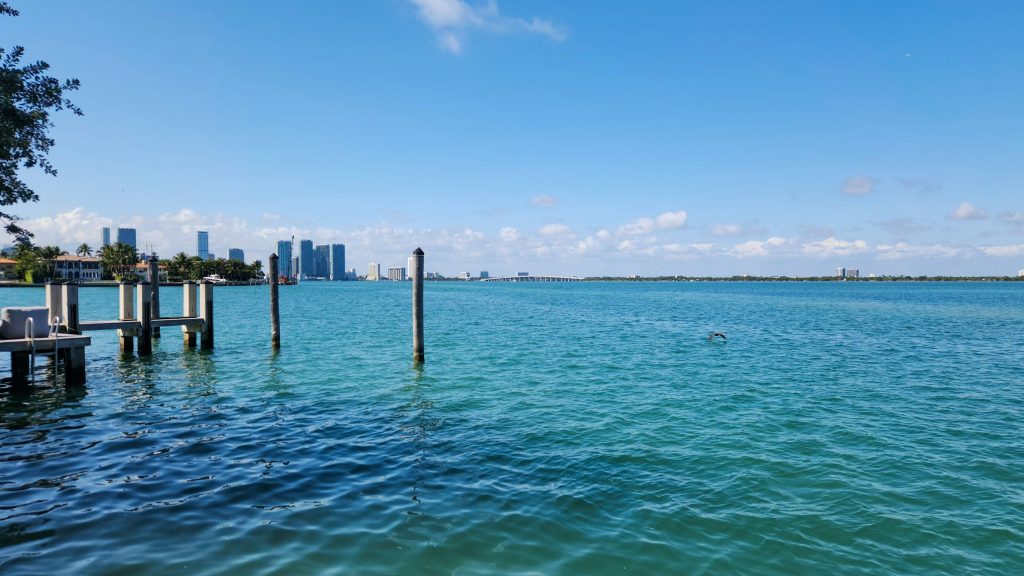 Old dock pilings in a wide bay, the city small on the far shore