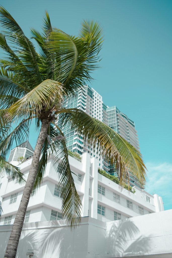 A white ocean-block building with a condominium tower behind it and a coconut palm in front