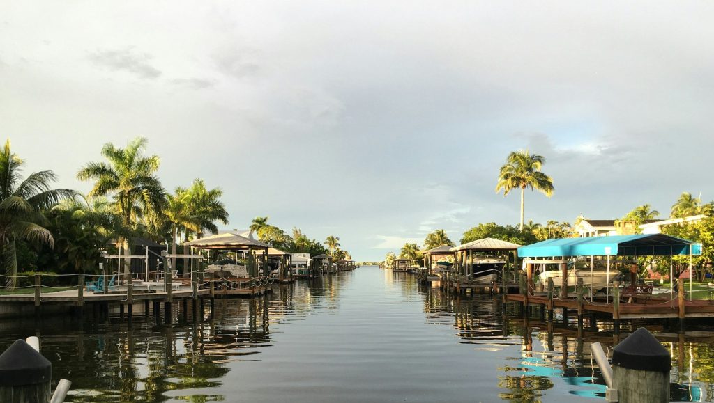 A residential canal lined with private docks, boat lifts and palms