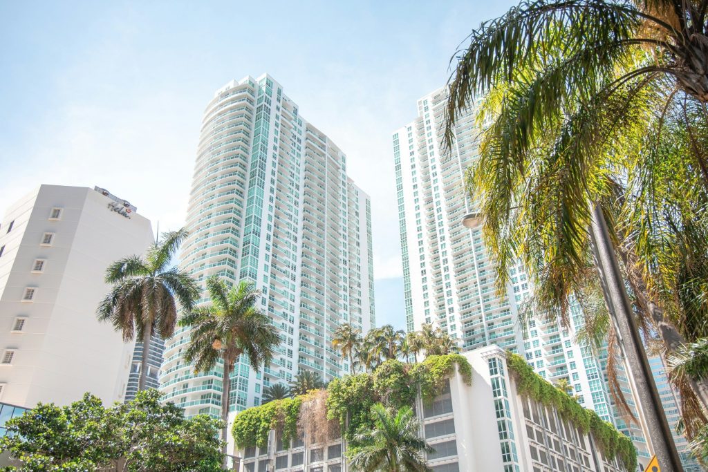 Condominium towers seen from the street below, palms in the foreground