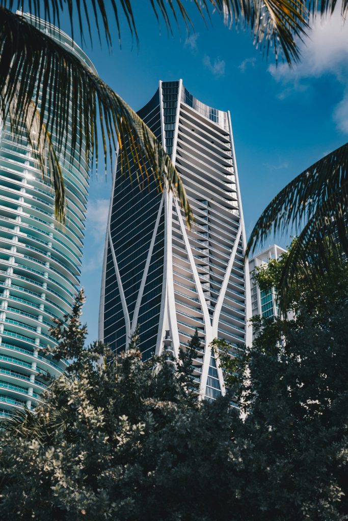 Two sculptural residential towers framed by palm fronds